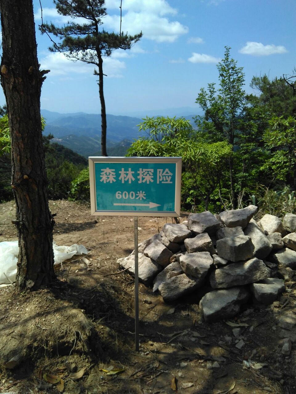 天台山华顶国家森林公园好玩吗,天台山华顶国家森林样