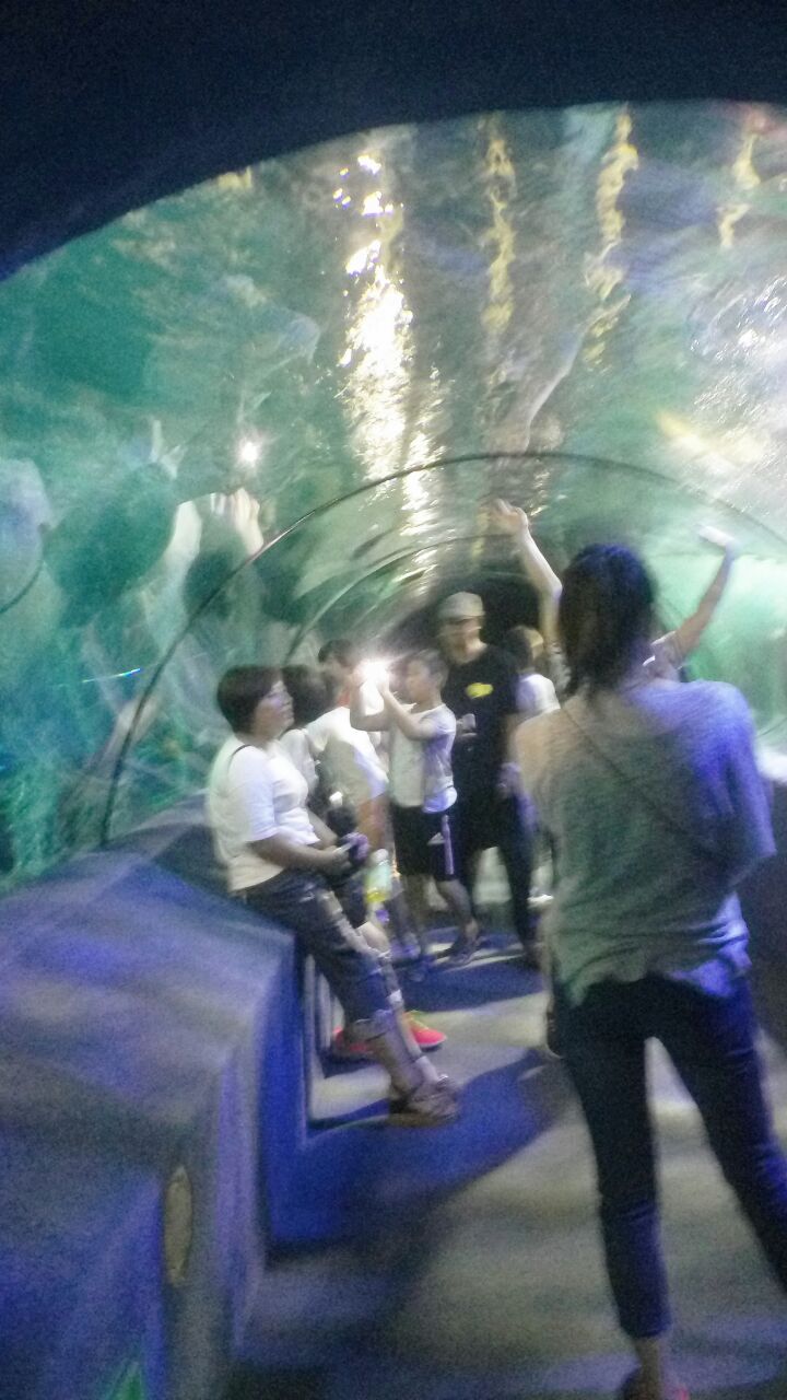 北京太平洋海底世界博览馆好玩吗,北京太平洋海底世界
