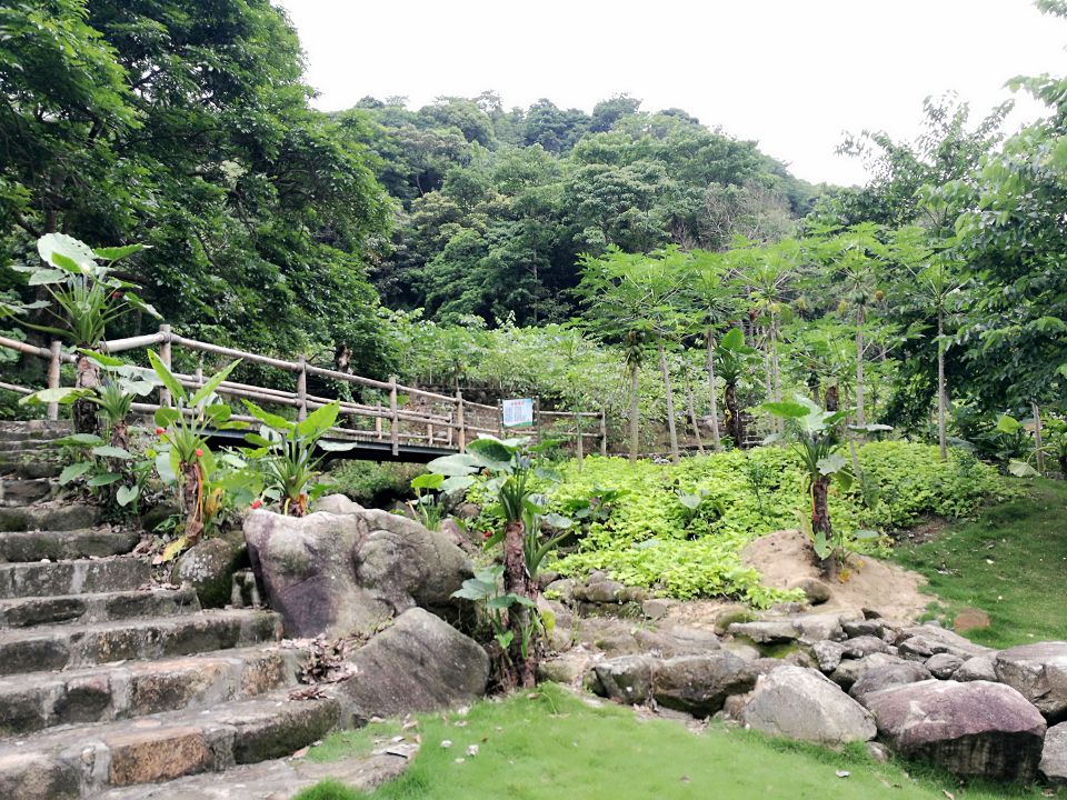 广州二龙山花园