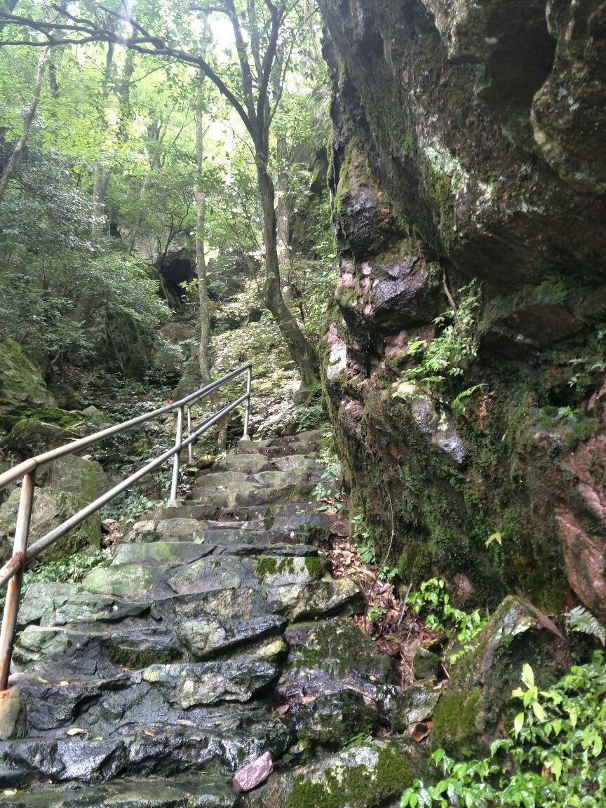 武宁神雾山好玩吗,武宁神雾山景点怎么样_点评_评价