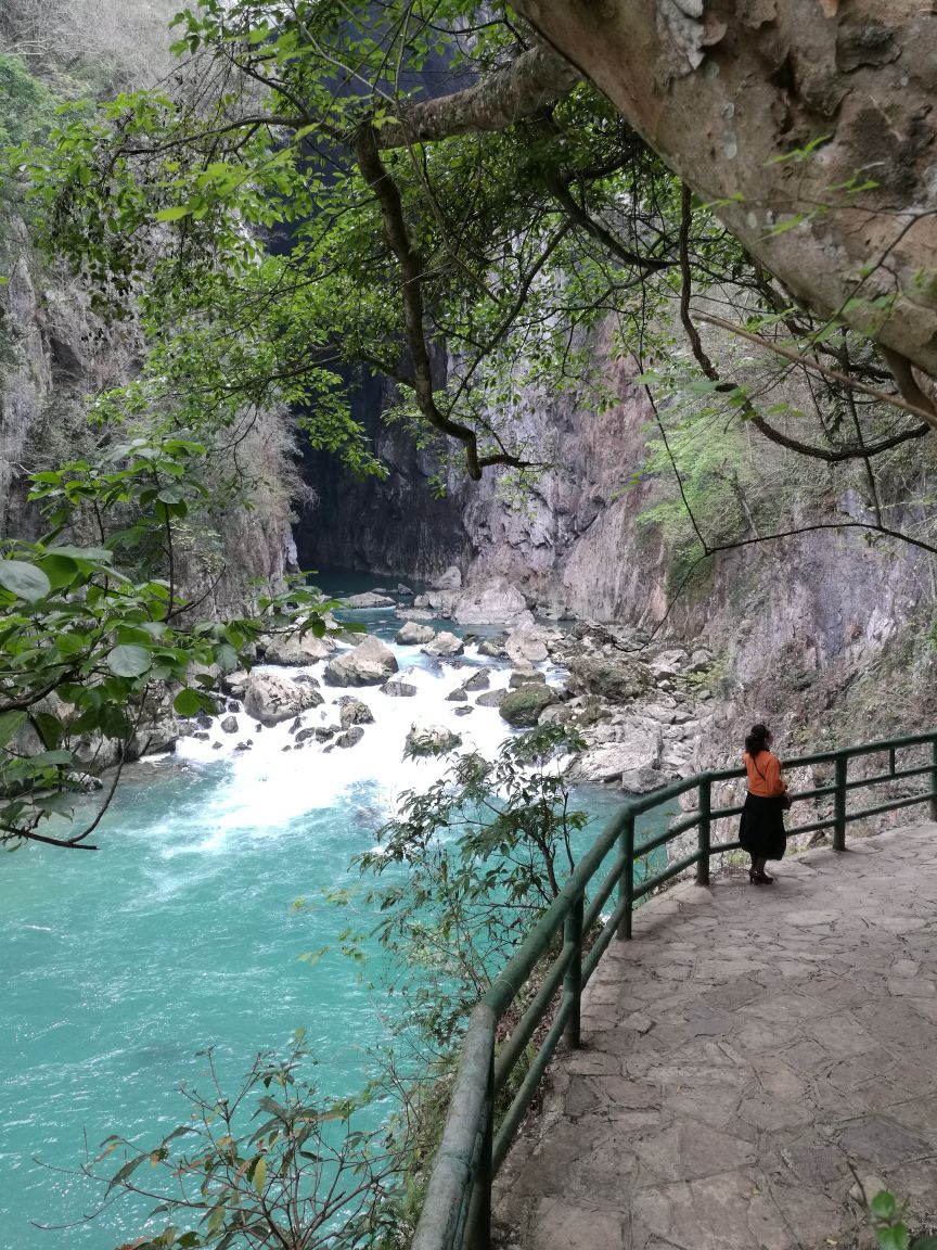 平塘甲茶风景名胜区好玩吗,平塘甲茶风景名胜区景点样