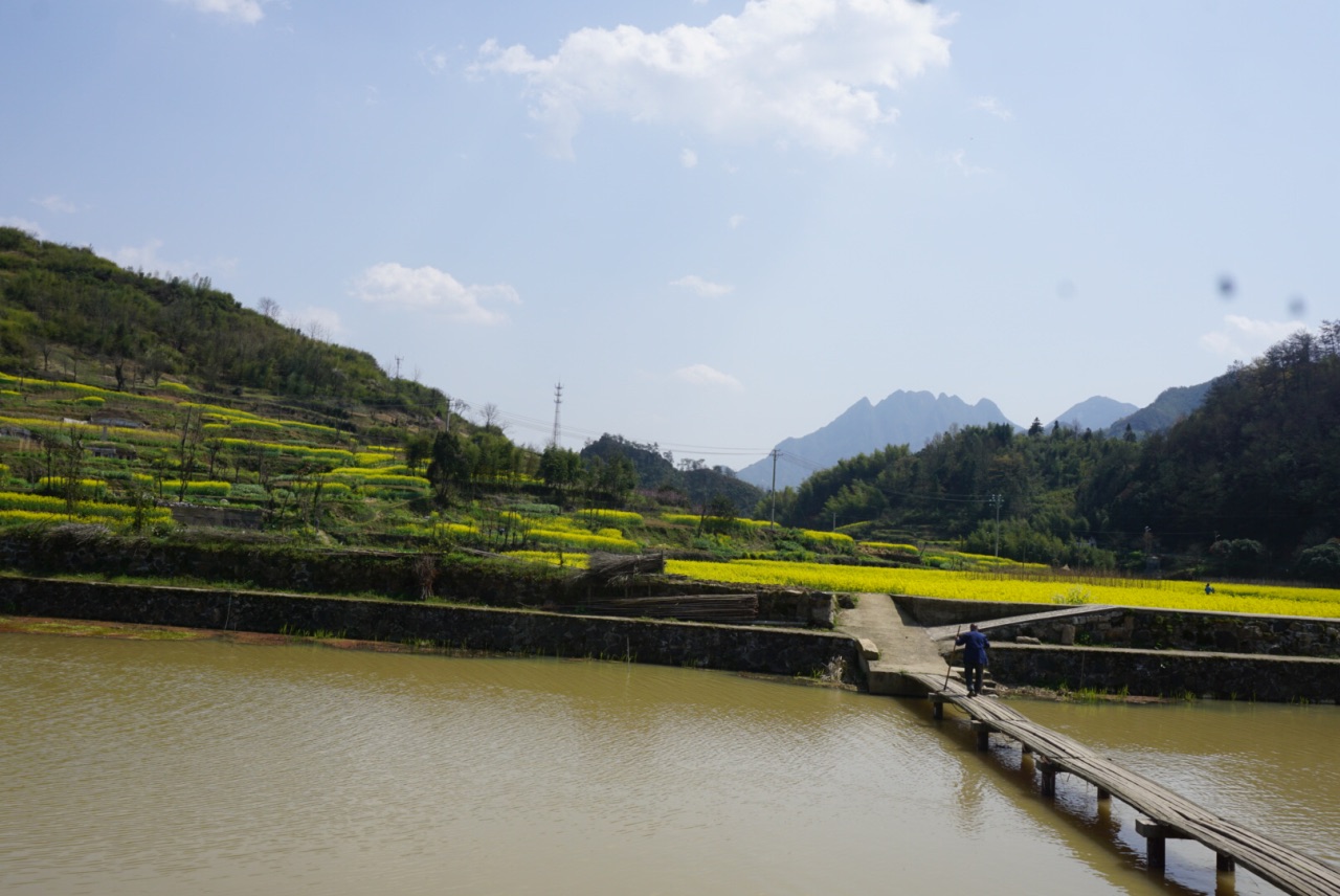 【携程攻略】绩溪太极湖村好玩吗,绩溪太极湖村景点样