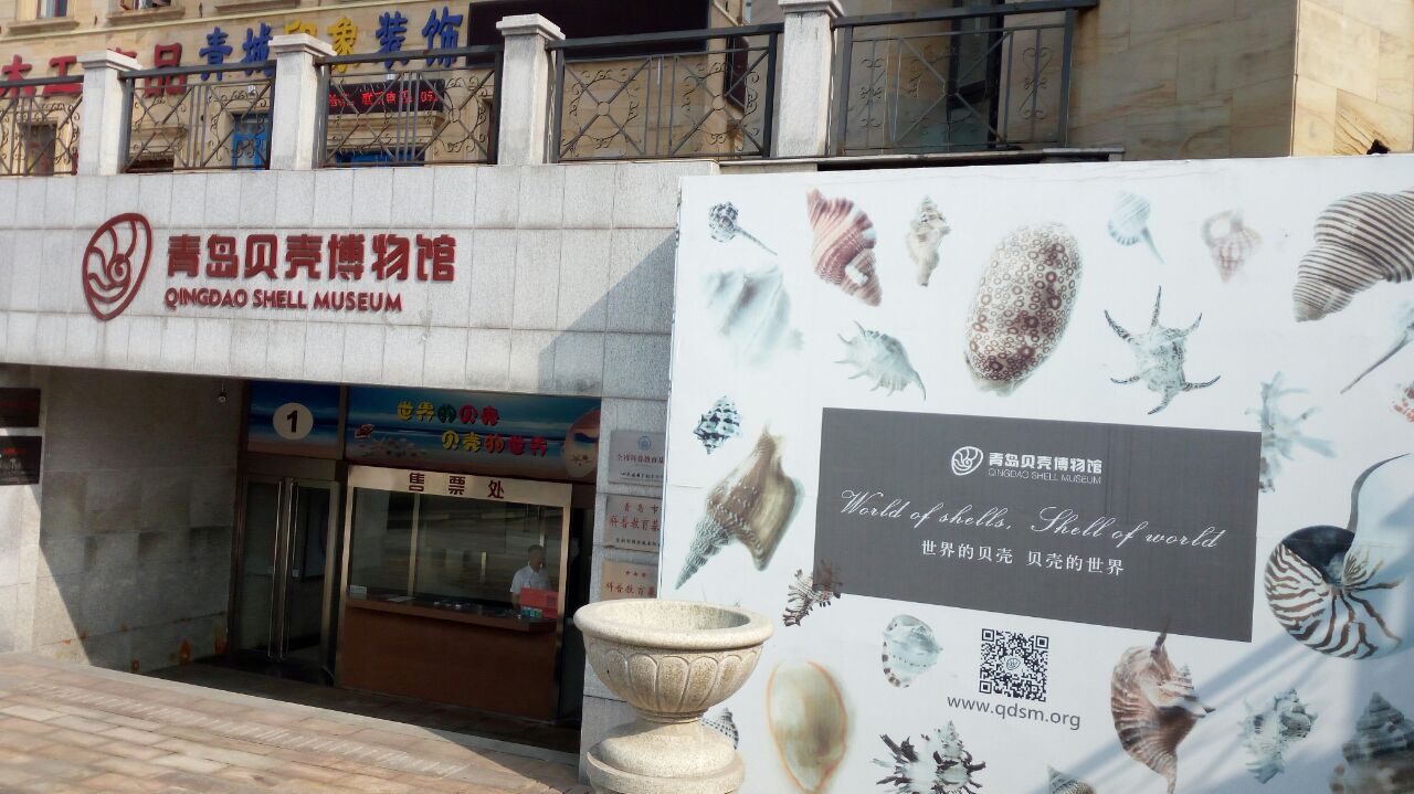 【携程攻略】青岛贝壳博物馆好玩吗,青岛贝壳博物馆景点怎么样_点评