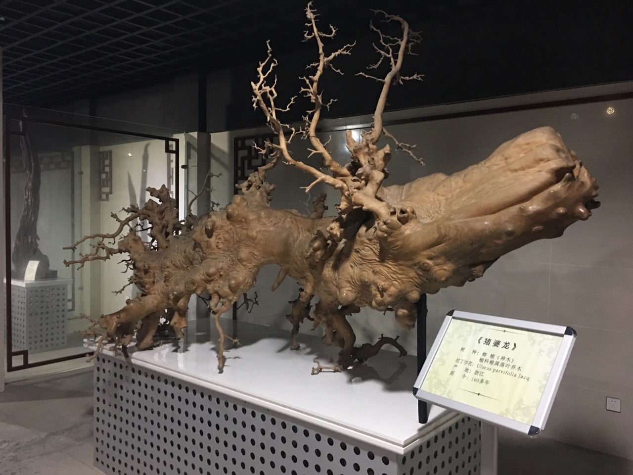 湖州古木博物馆好玩吗,湖州古木博物馆景点怎么样_点评_评价【携程