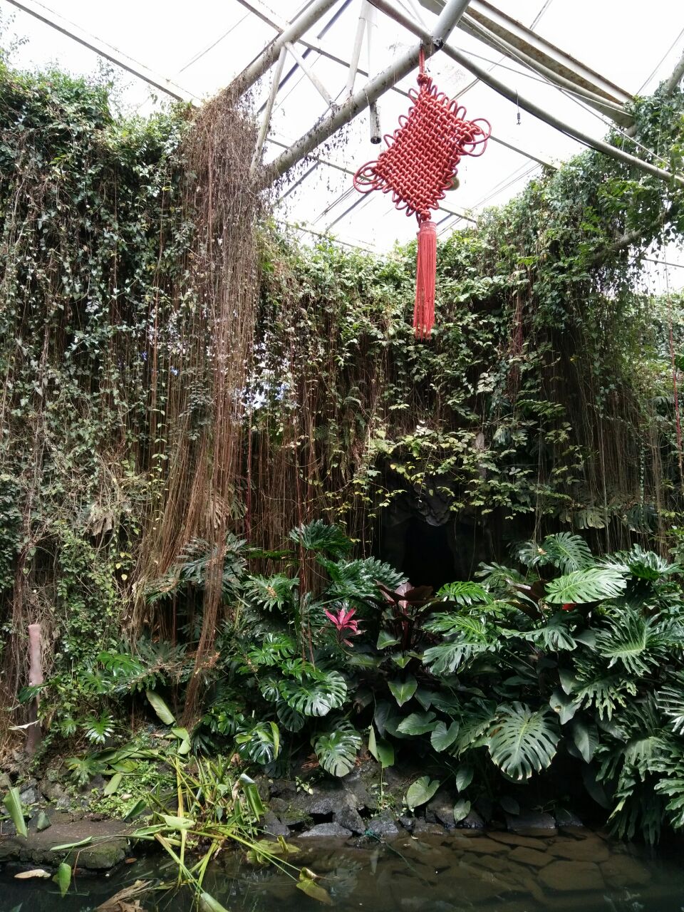 【携程攻略】宁波天宫庄园景点,总的来说还是不错的,植物园很值得一看