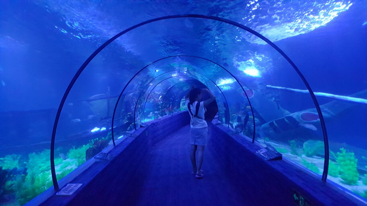 北海北海海底世界好玩吗,北海北海海底世界景点怎么样