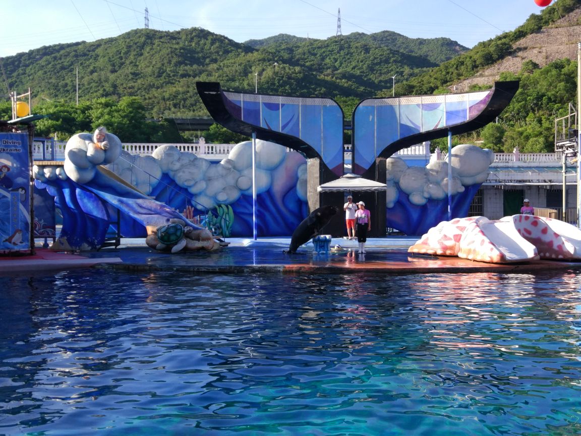 深圳小梅沙海洋世界好玩吗,深圳小梅沙海洋世界景点样