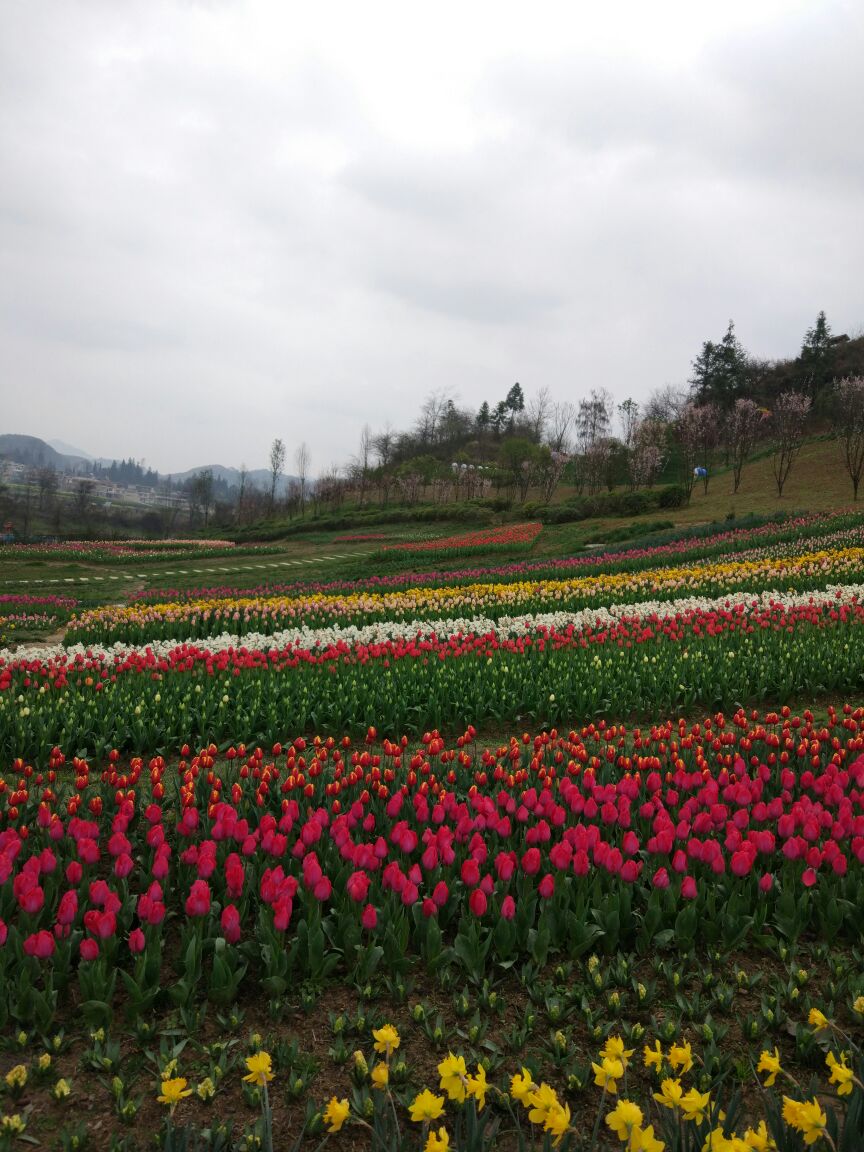 金海雪山·四季花谷