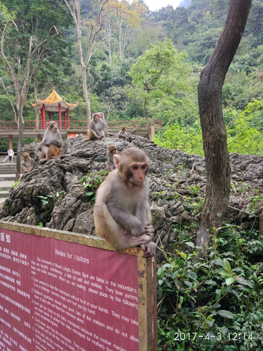 【携程攻略】隆安龙虎山自然保护区景点,有山有水有