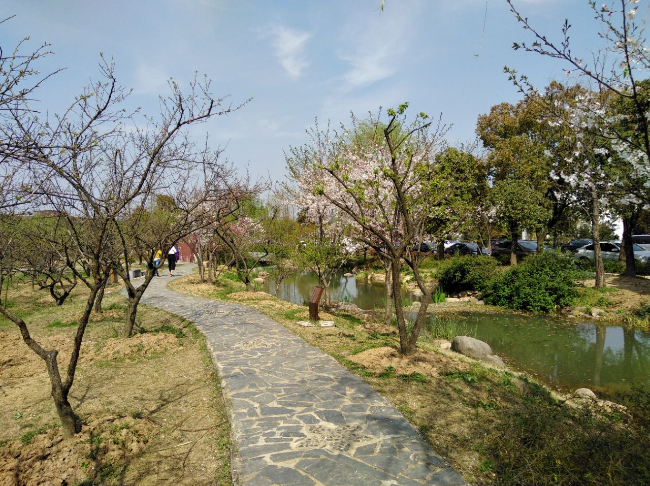 苏州香雪海好玩吗,苏州香雪海景点怎么样_点评_评价