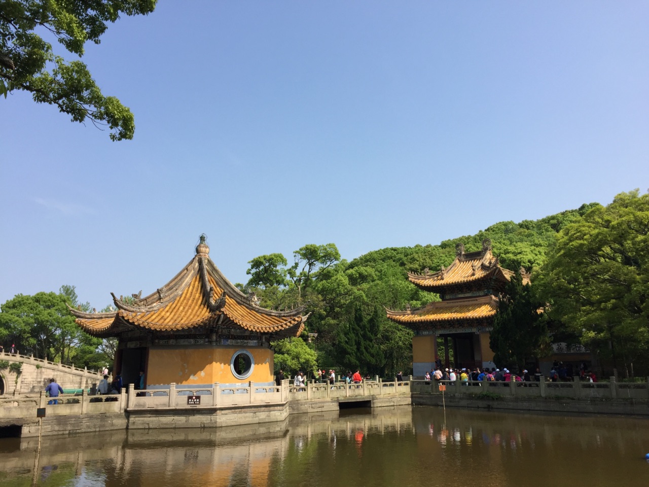 普陀山风景区 普济禅寺 33米高南海观音一日游【 舟山当地成团 赠送