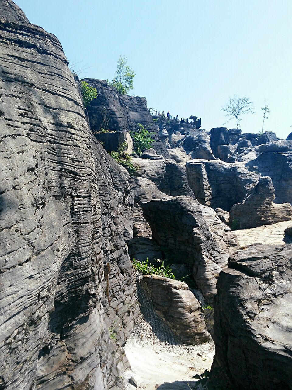 黟县西递石林景区好玩吗,黟县西递石林景区景点怎么样