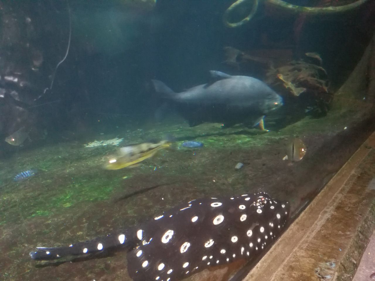 上海长风海洋世界