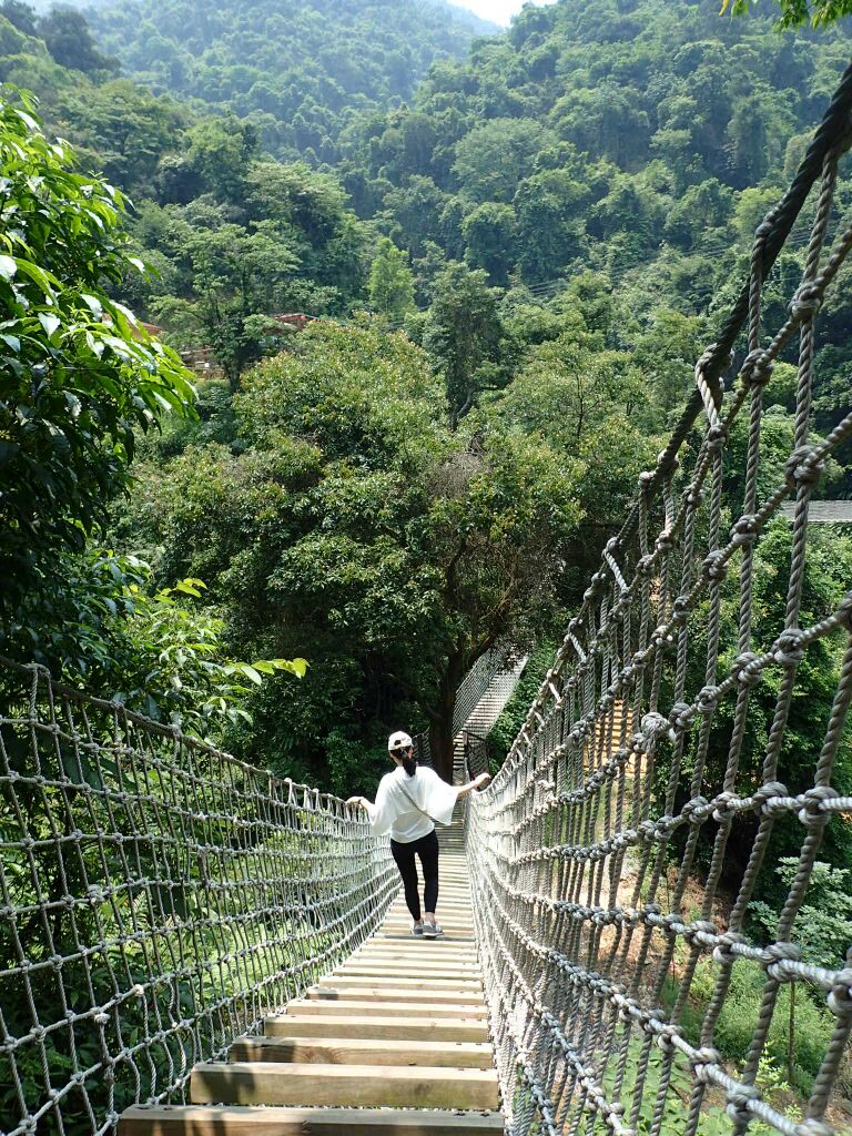 佛山南丹山森林王国好玩吗,佛山南丹山森林王国景点样