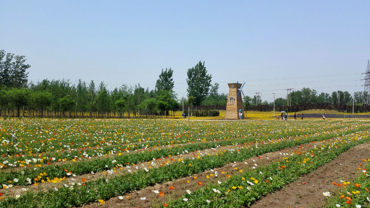 紫云水岸香草园