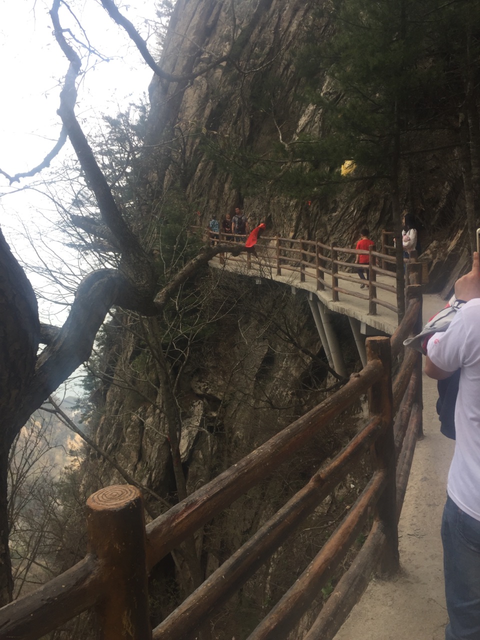 老君山景区