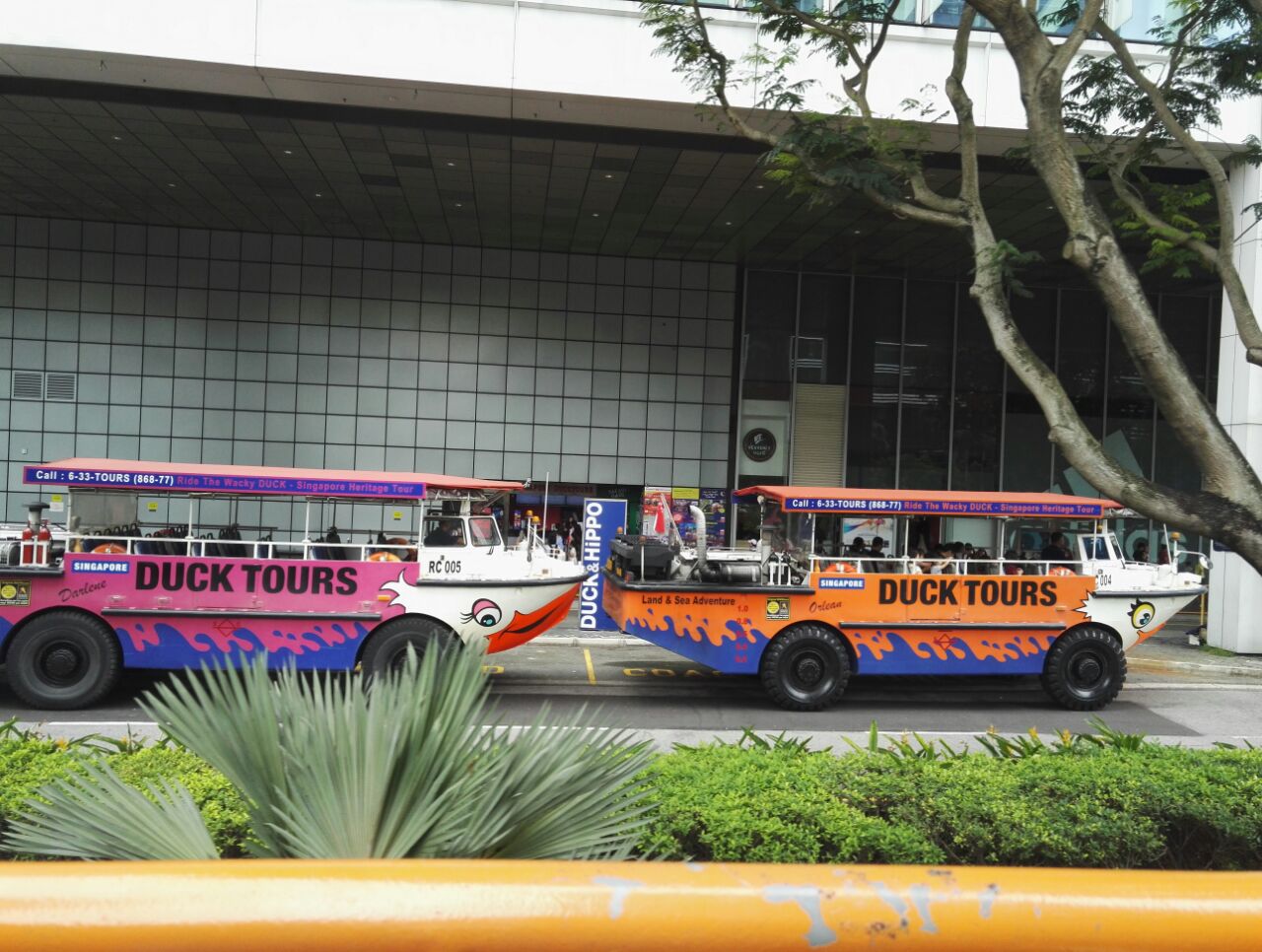 ducktours鸭子船