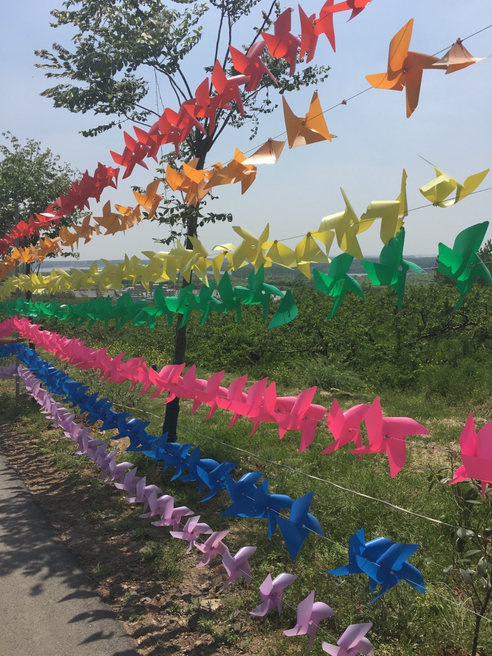 【携程攻略】南京桃花岛风景区景点,去的不是时候 没