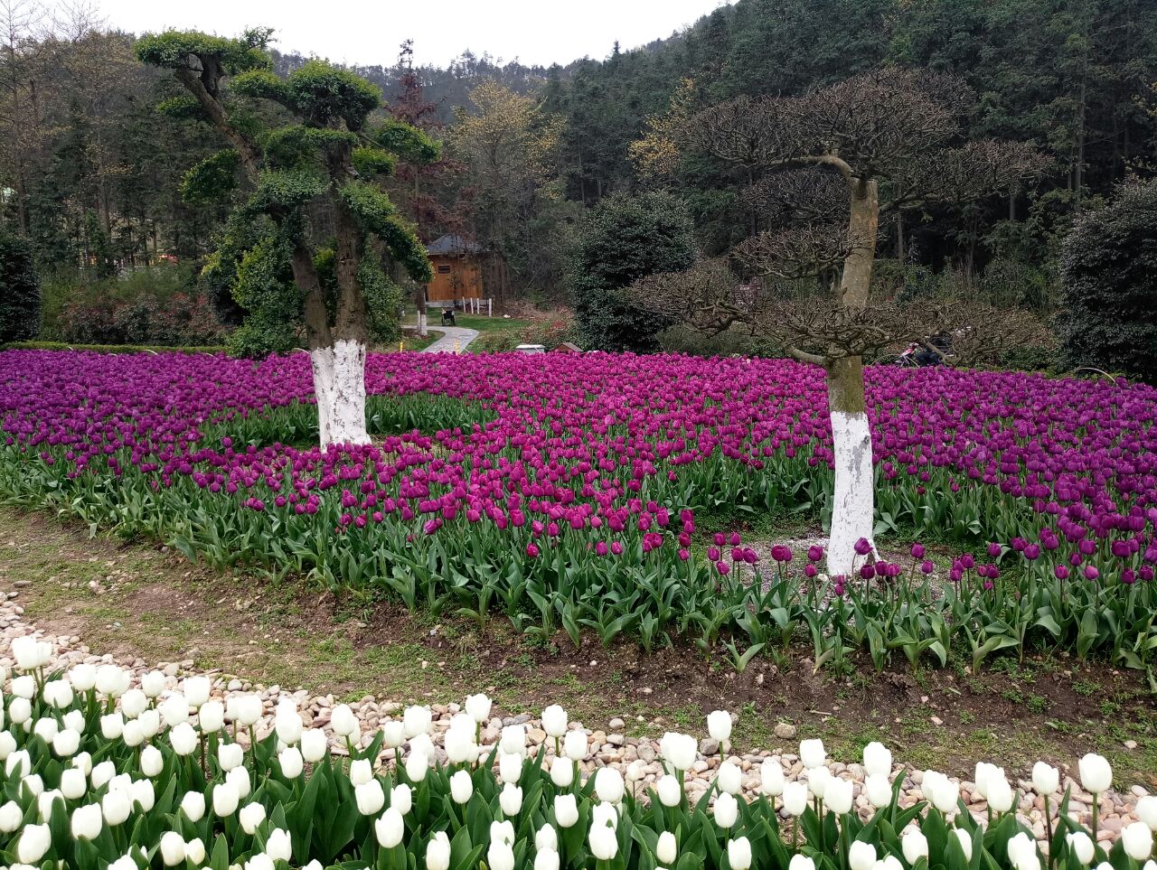 东钱湖南苑花博园