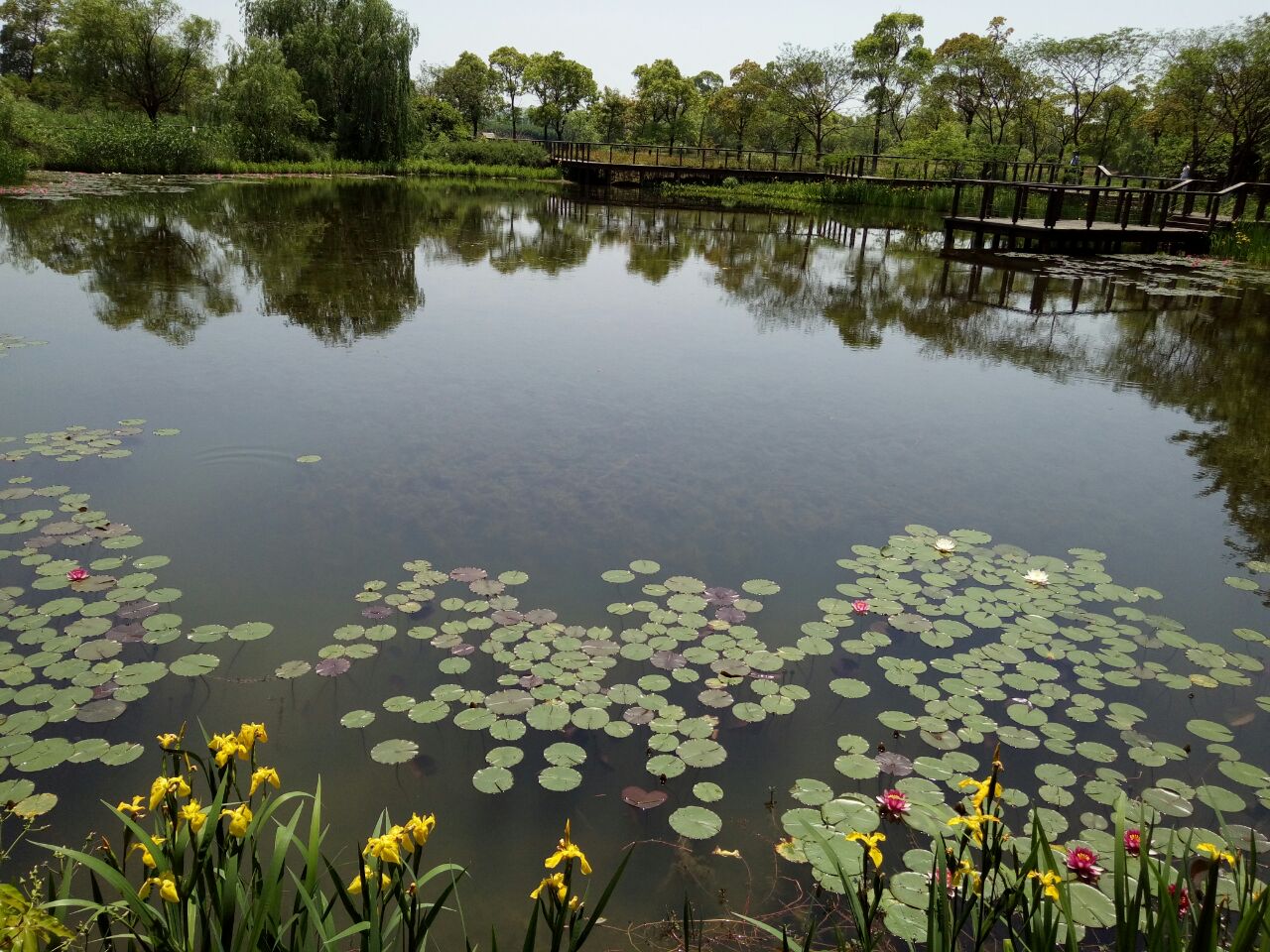 苏州太湖国家湿地公园