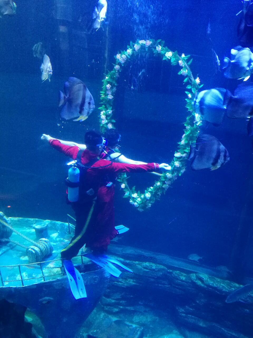 北海北海海底世界好玩吗,北海北海海底世界景点怎么样
