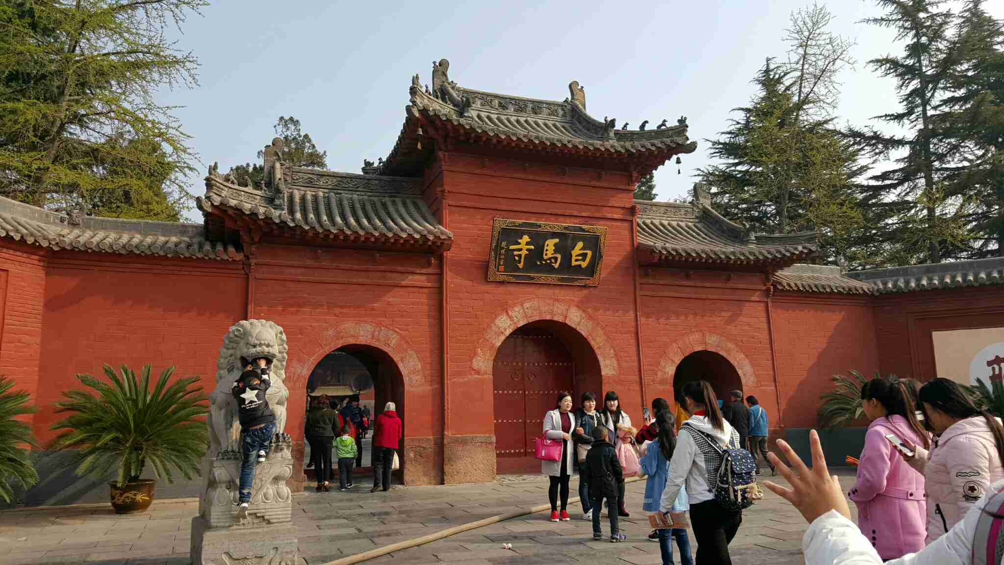 洛阳龙门石窟 白马寺 洛阳博物馆一日游【纯玩 文化之旅】