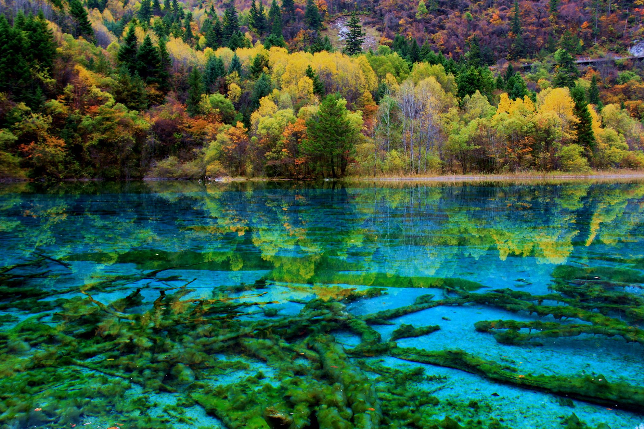 摄影之旅·四川九寨沟 黄龙风景名胜区 峨眉山 乐山 青城山 都江堰7日