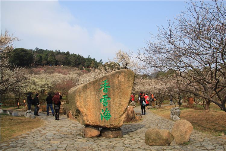 湖光山色光福镇,帝王宠儿香雪海. - 苏州游记攻略