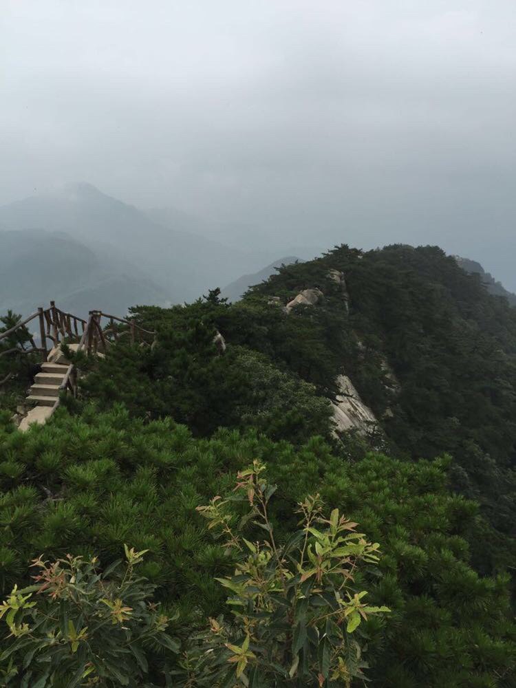 湖北罗田薄刀峰天堂寨云端漫步