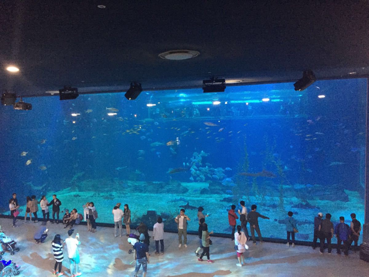 aqua planet水族馆