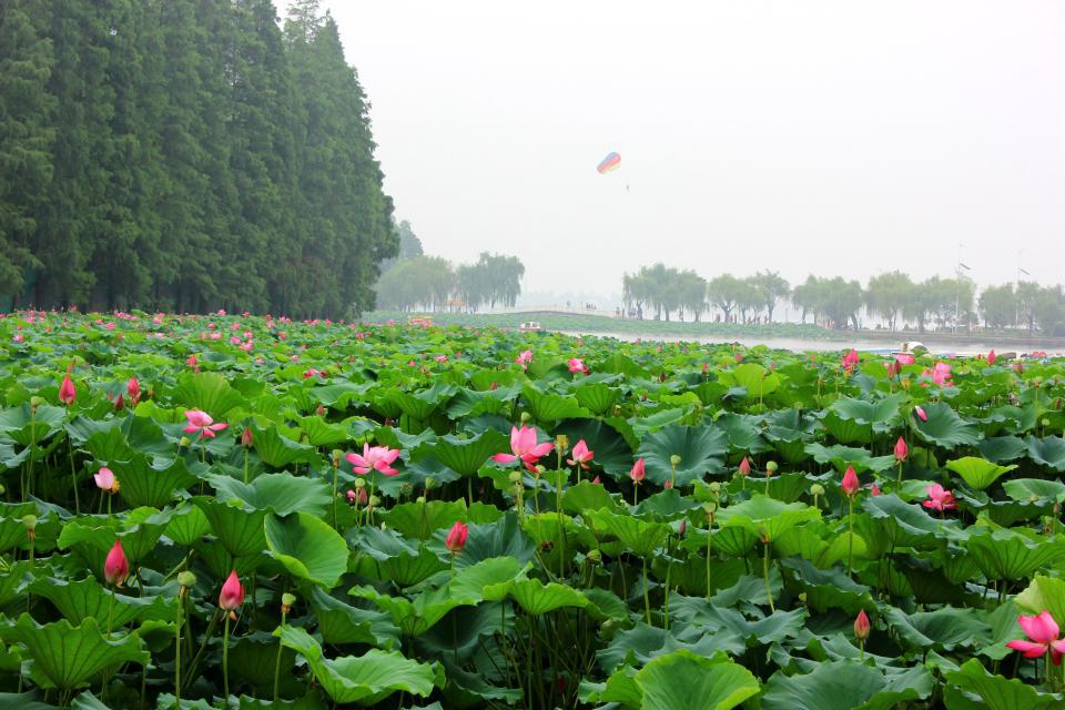 2021东湖楚风园游玩攻略,逛完汉街我们就去了东湖,游.