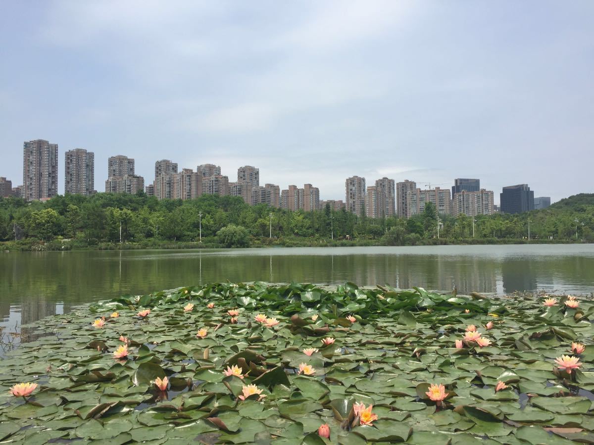 观山湖公园