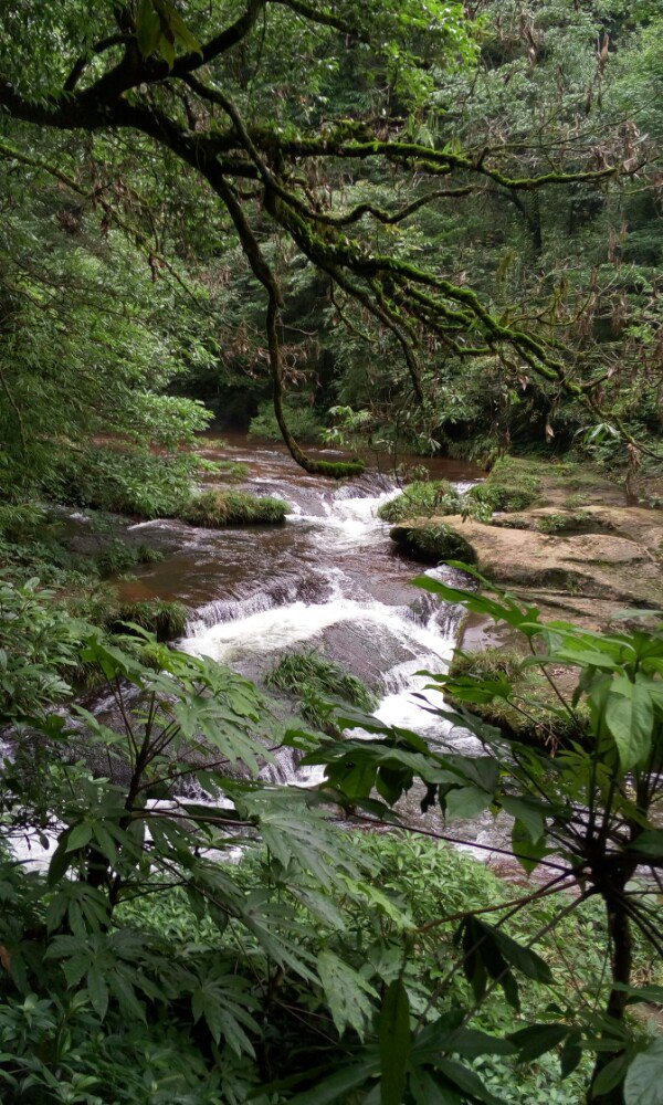 天台山风景区