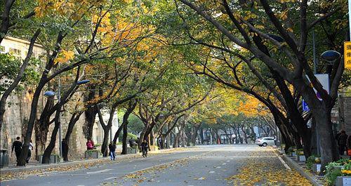 重庆-上清寺-中山四路，氤氲着历史风云的厚重与雅致韵味 - 重庆游记攻略【携程攻略】