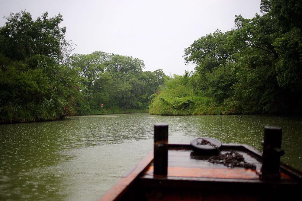 西溪湿地公园(东区)