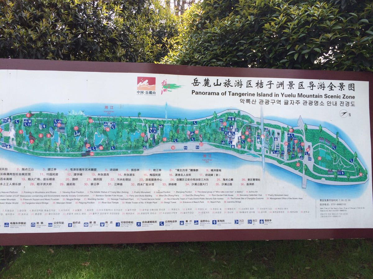 橘子洲