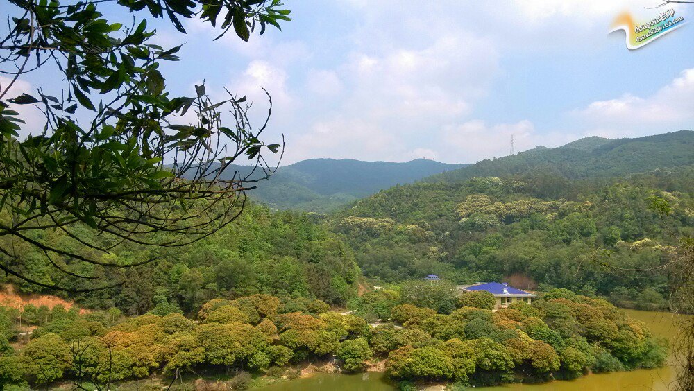 大岭山森林公园旅游景点攻略图