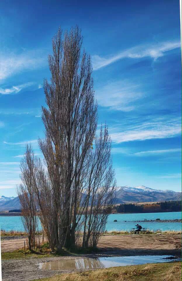 姐妹俩新西兰8天6晚环岛自驾游(奥克兰-罗托鲁