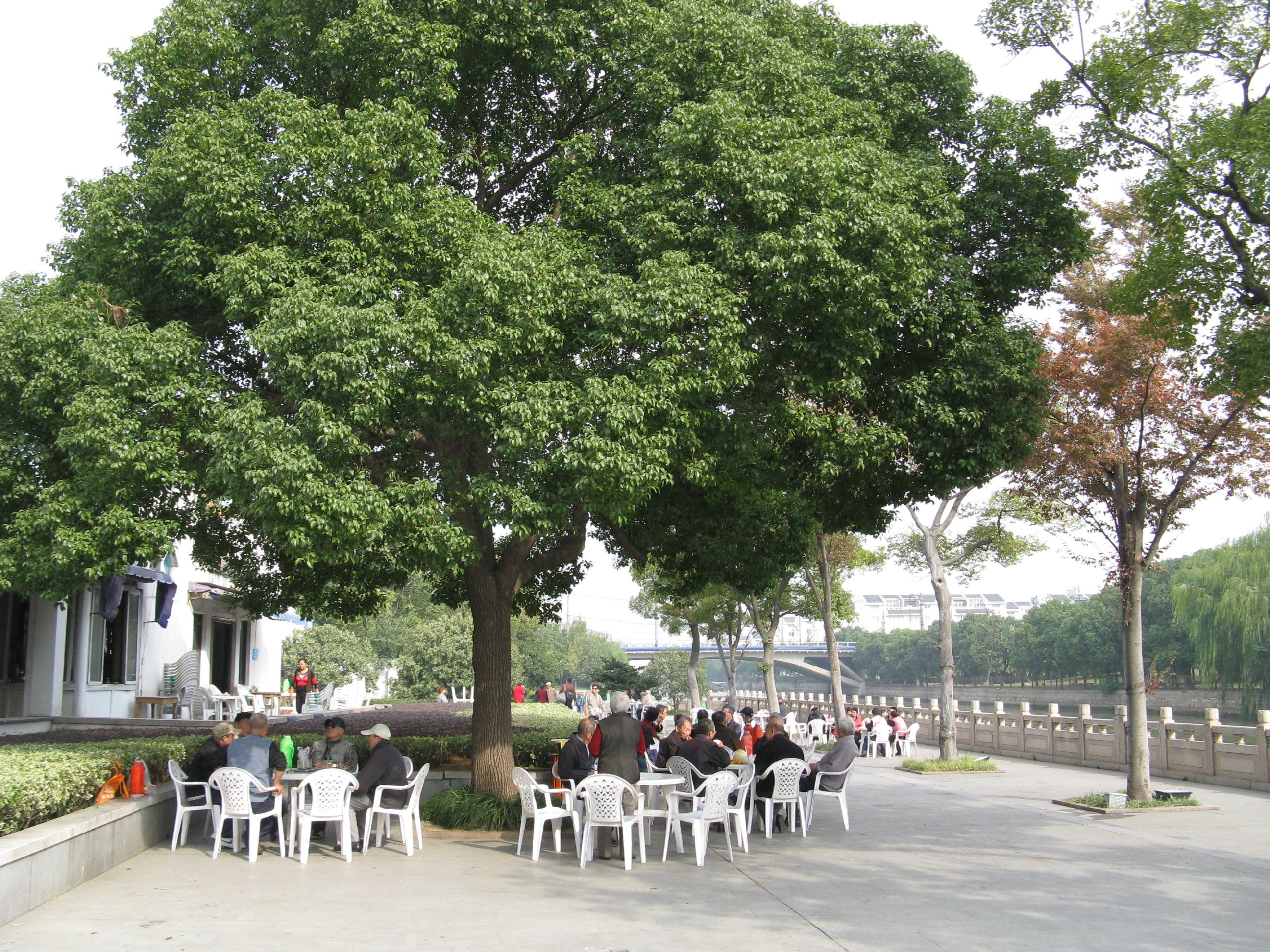 苏州桂花公园好玩吗,苏州桂花公园景点怎么样_点评_评价【携程攻略】