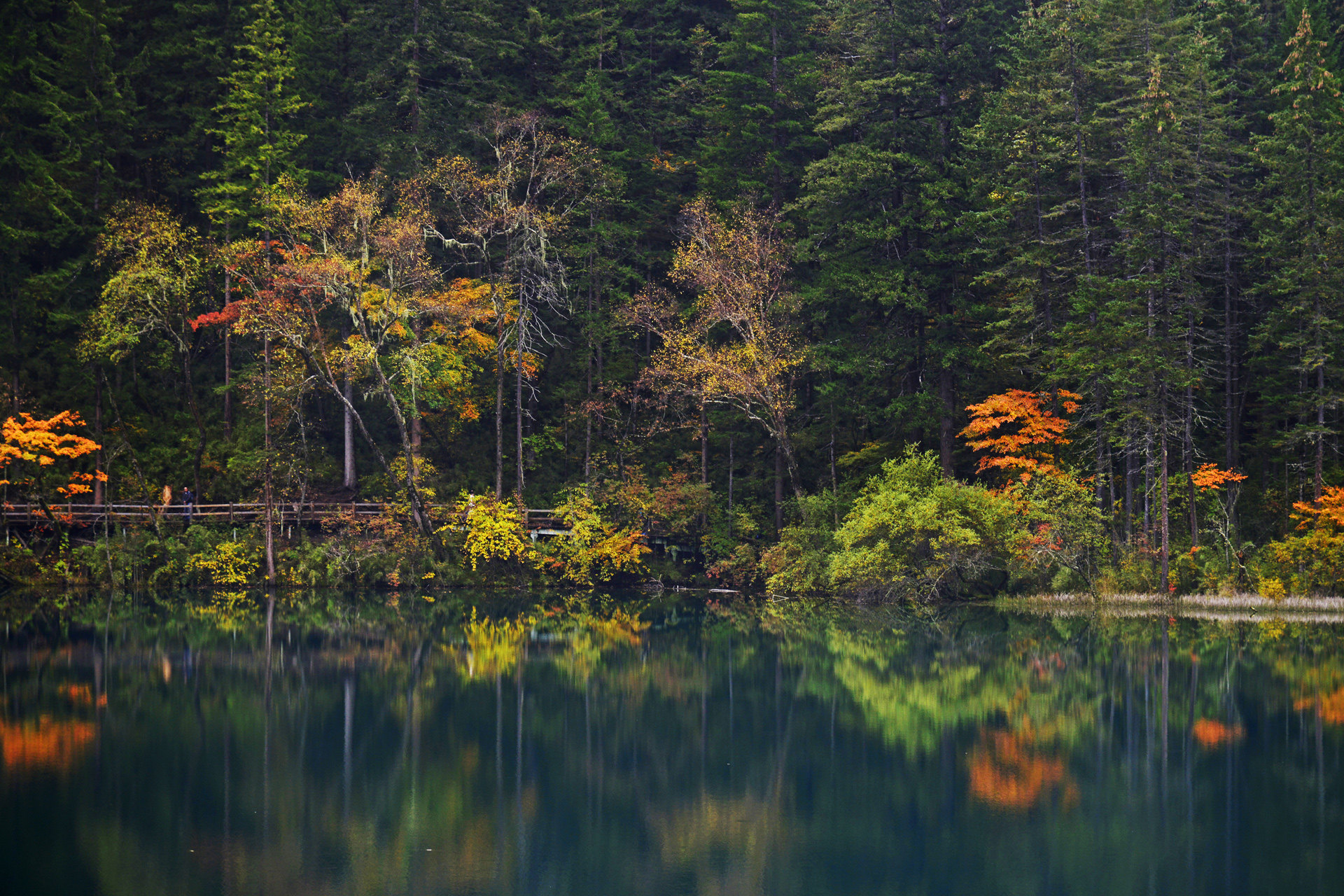 九寨沟5日4晚半自助游·4飞成都中转 纯玩2进