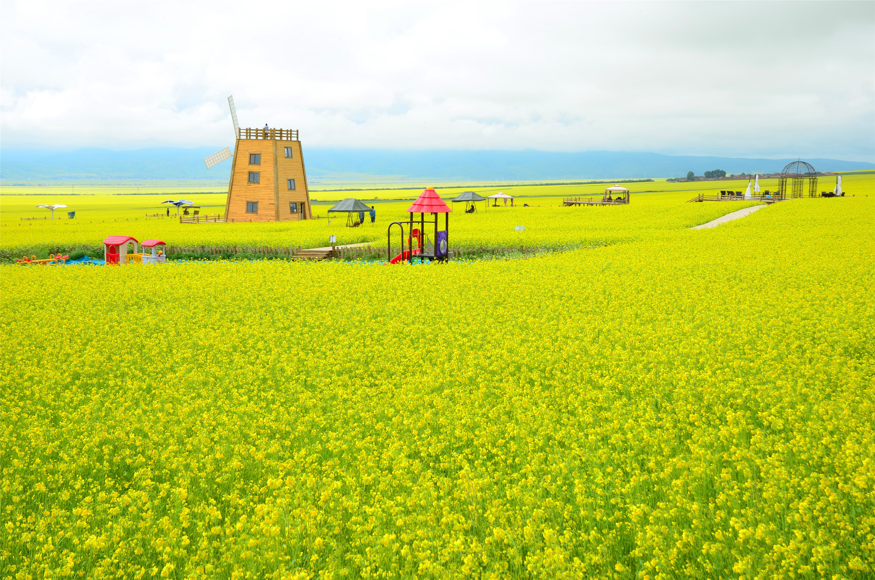 西宁+青海湖+刚察+祁连6日5晚跟团游(2钻)·环湖骑行+漫步行摄 茶卡盐湖已成团-【携程旅游】