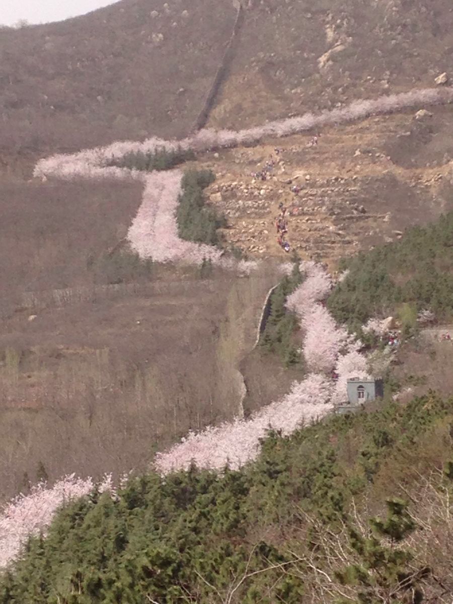 樱花山风景区