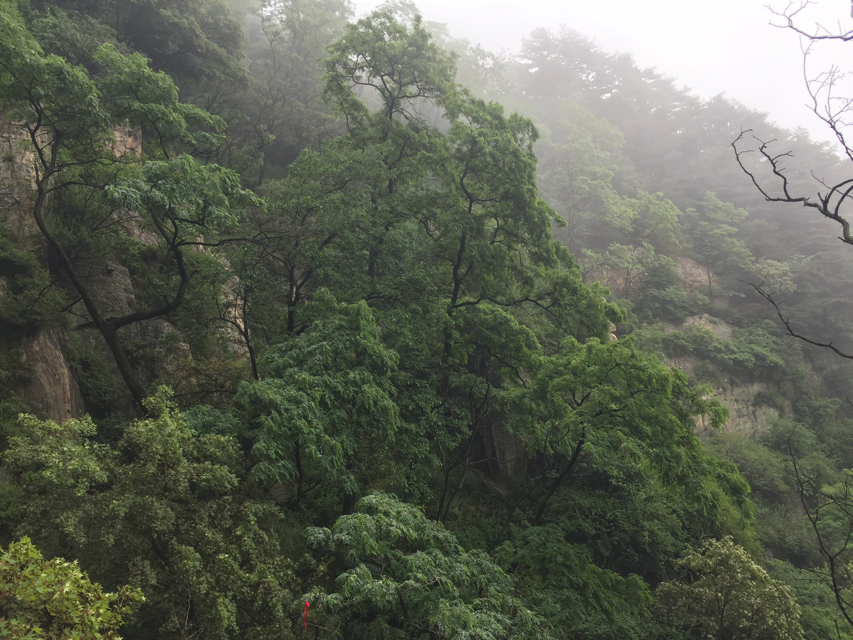 泰山旅游攻略指南? 携程攻略社区! 靠谱的旅游攻略平台,最佳的泰山自助游、自由行、自驾游、跟团旅线路,海量泰山旅游景点图片、游记、交通、美食、购物、住宿、娱乐、行程、指南等旅游攻略信息,了解更多泰山旅游信息就来携程旅游攻略。