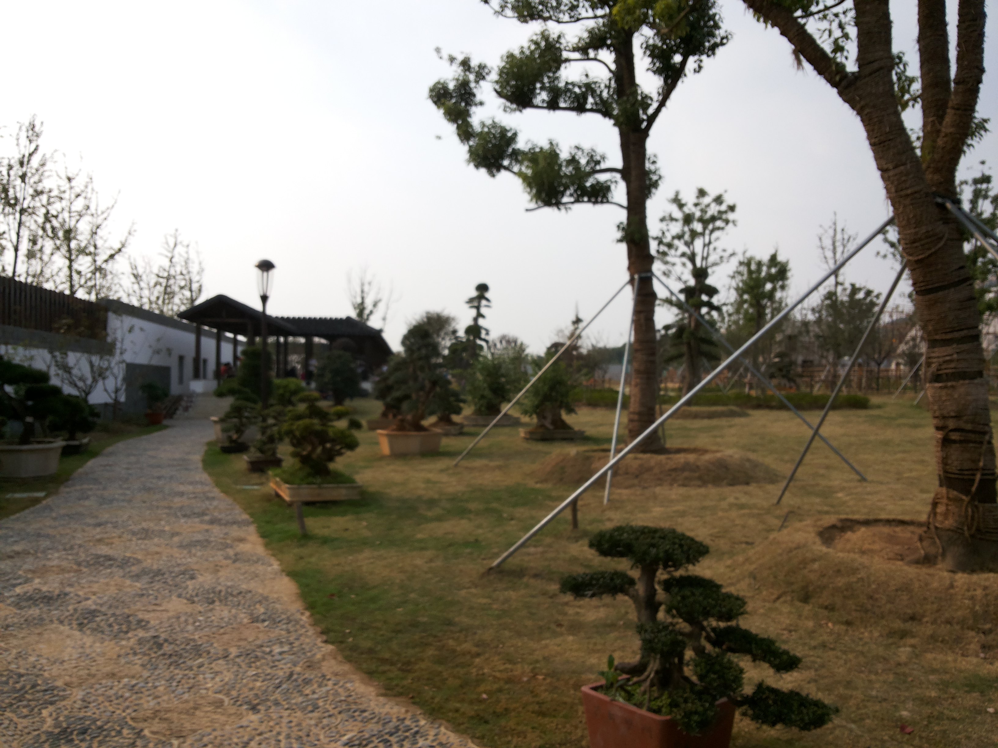 大阳山植物园景区