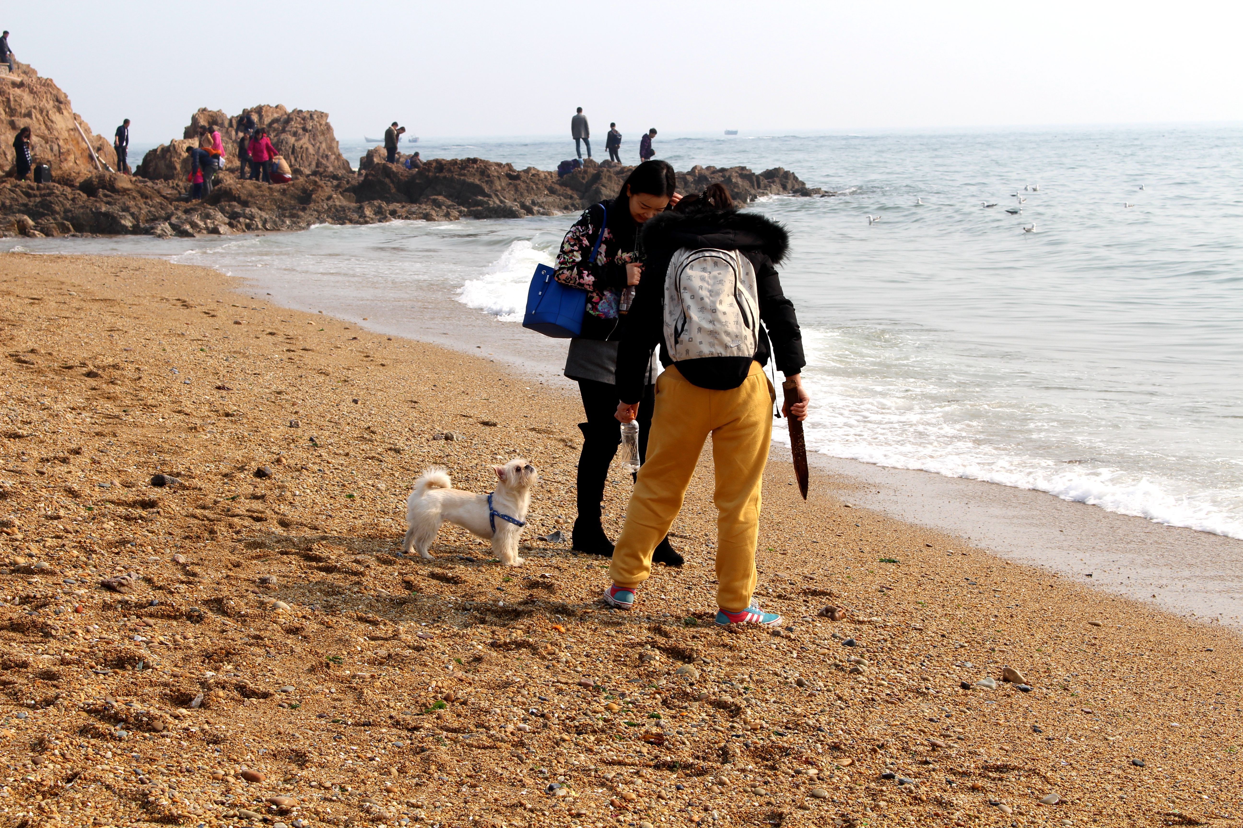 大连付家庄海滨浴场