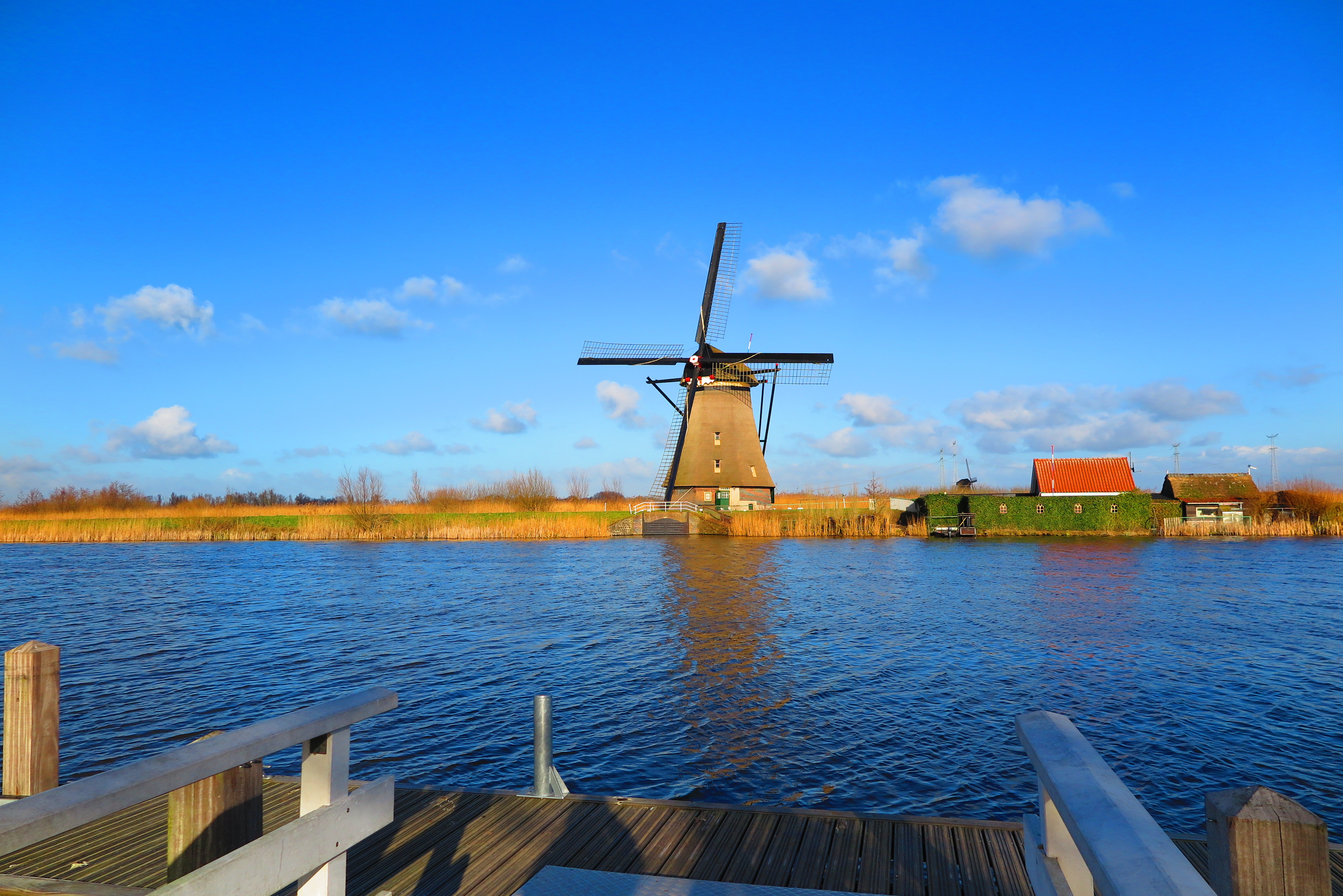 荷兰风车图片大全-荷兰郁金香|荷兰风车视频|荷兰风车图片高清晰|荷兰风车村