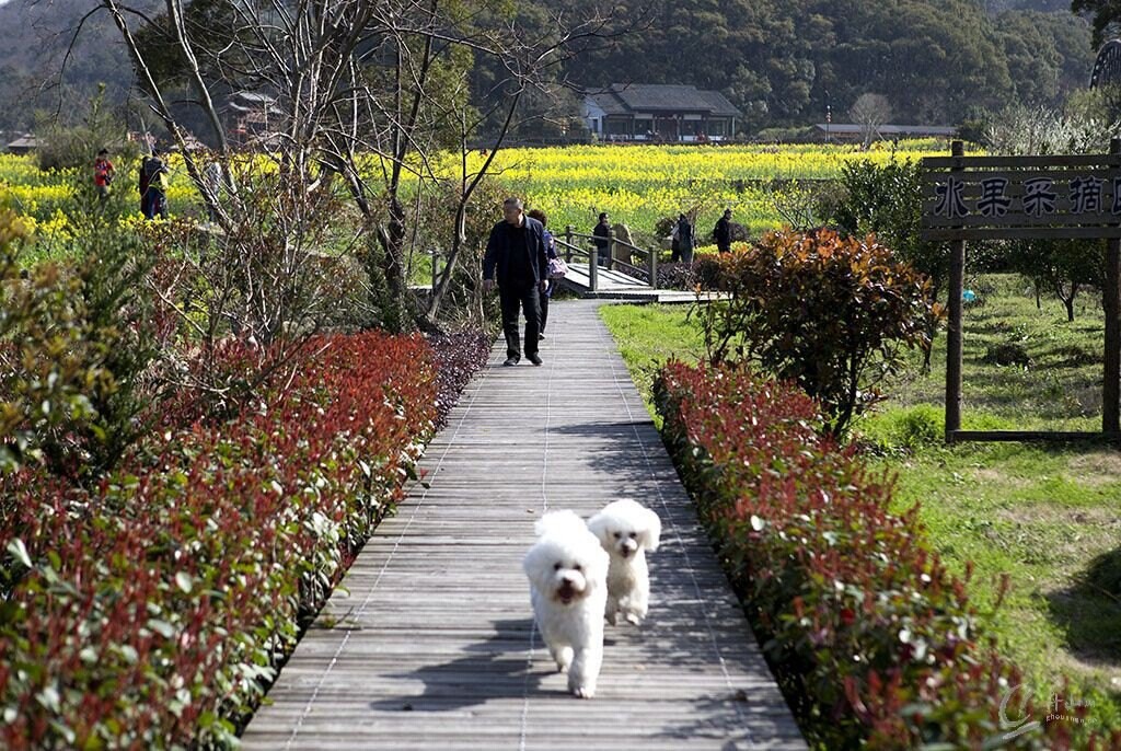 踏青舟山干施岙