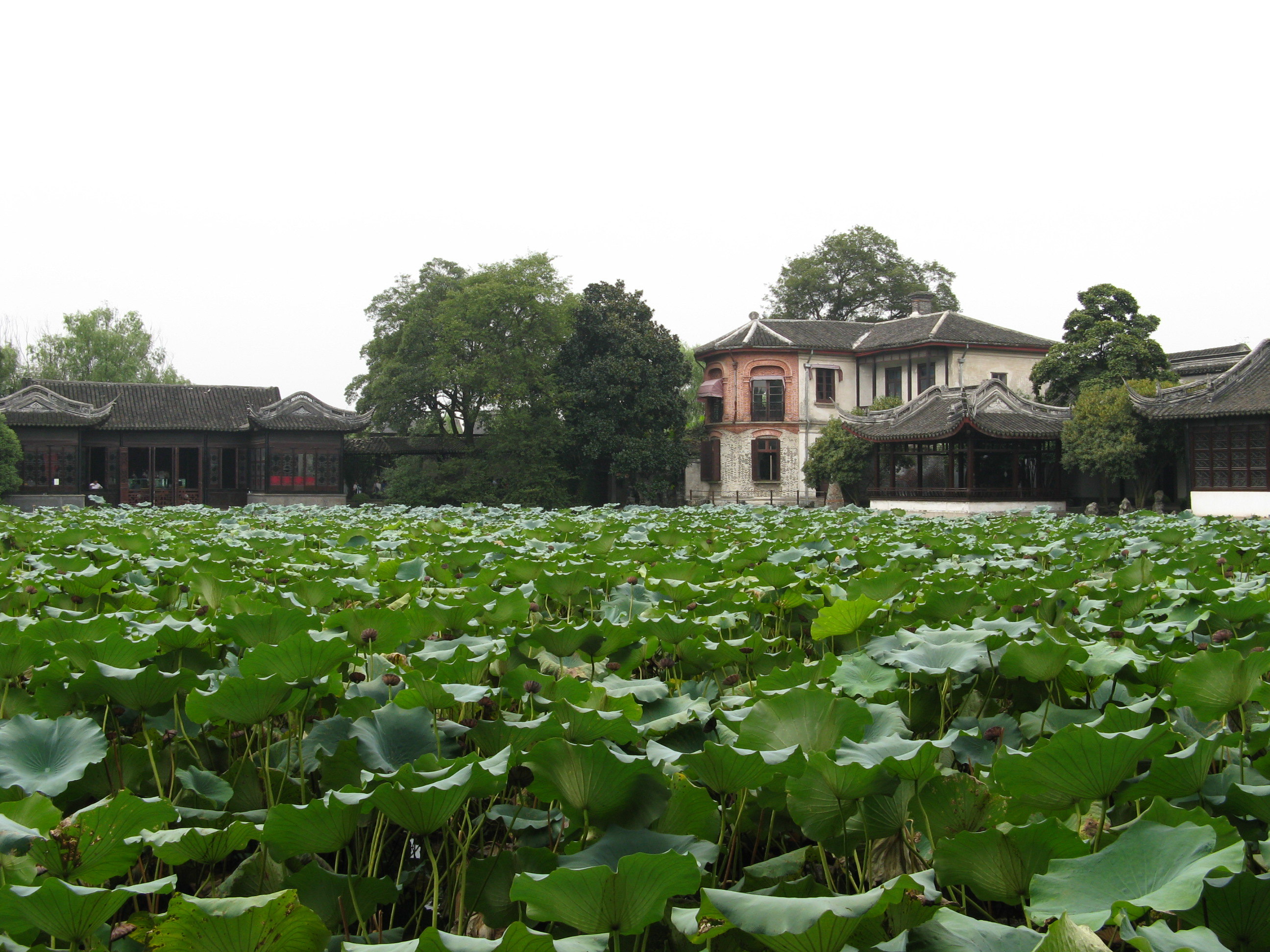 2019小莲庄-旅游攻略-门票-地址-问答-游记点评,南浔旅游旅游景点推荐