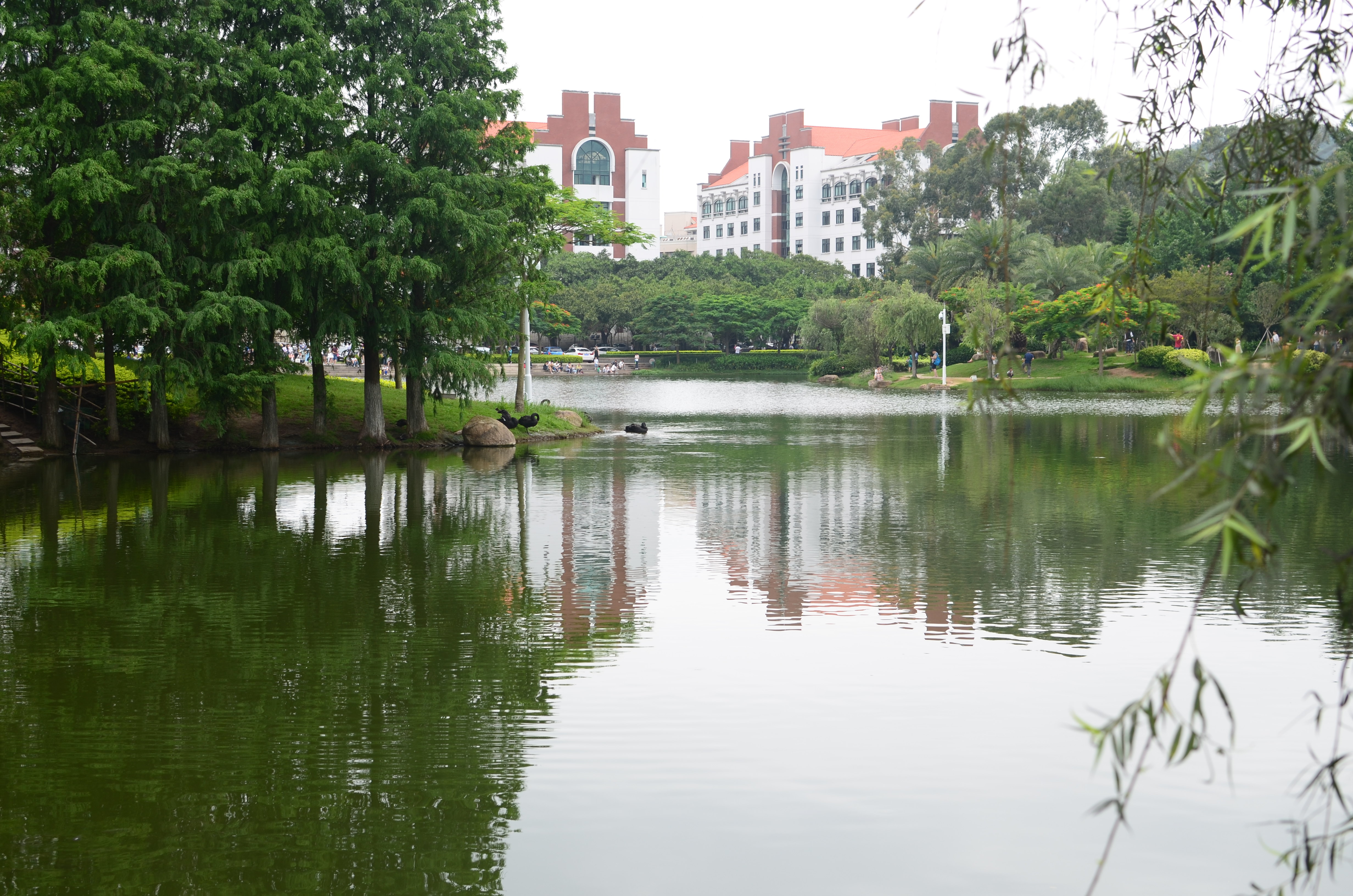 厦门大学