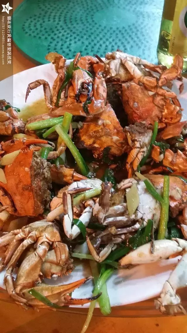 海陵岛旅游攻略,来海陵岛旅游不一样-阳江游成都攻略沙坡头自驾图片